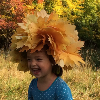 «Золотая  осень»