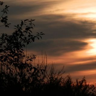 В лучах заходящего солнца