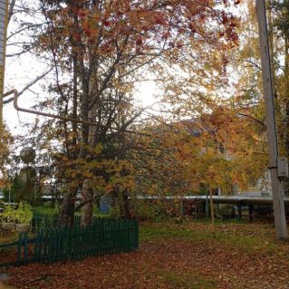 Вид из моего окна