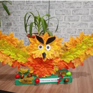 "Сова -Модница"