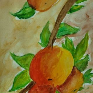 "Подарок осени"