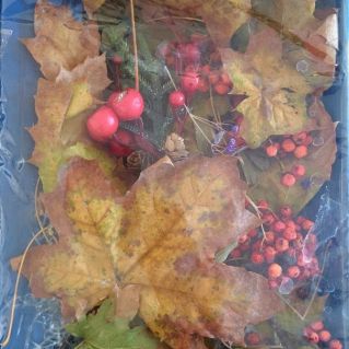 "Осенняя мозаика"