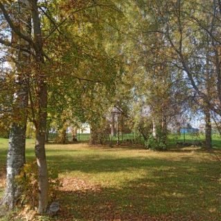 Осень ,осень в гости просим