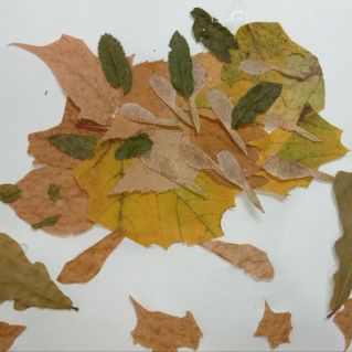 "Осенний ёжик"