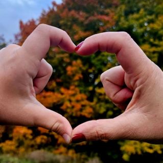 Осень в ладожке