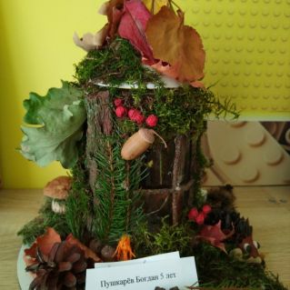 Лесной домик