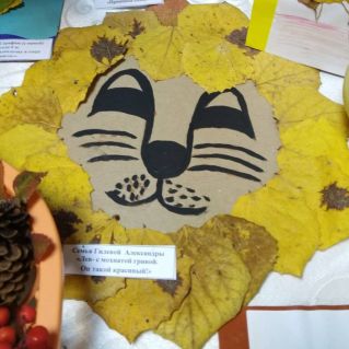 "Лев  с мохнатой гривой, он такой красивый"