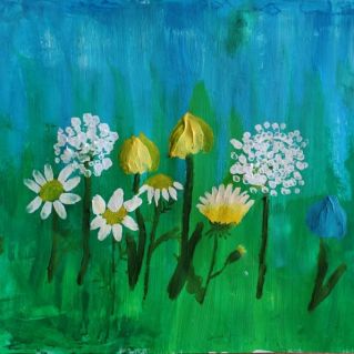 Летние цветы