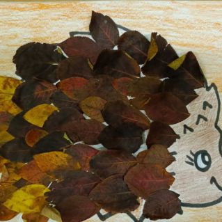 "Осенний ежик Пых"