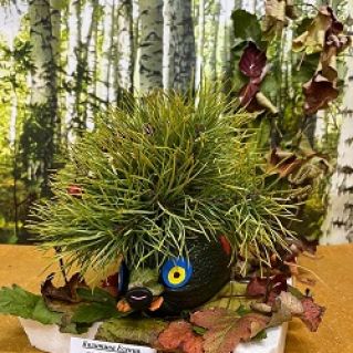 Лесной ёжик