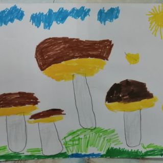 Щедрые дары осеннего леса