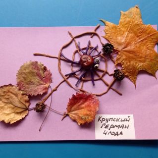 Осенняя паутинка