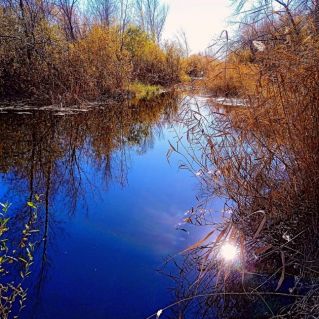 "Унылая пора - очей очарованье"