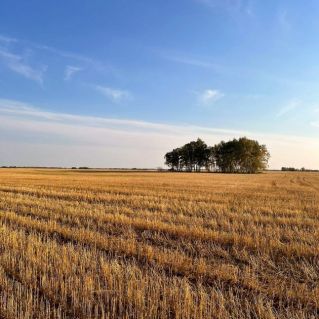 "Осенняя уборка урожая"