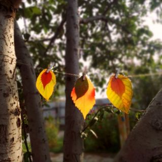 "В гости к осени"