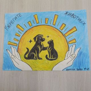 Берегите животных