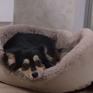 "Ну поиграй со мной!"