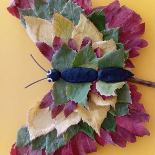 Осенняя красавица