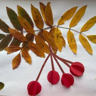 Рябины огоньки