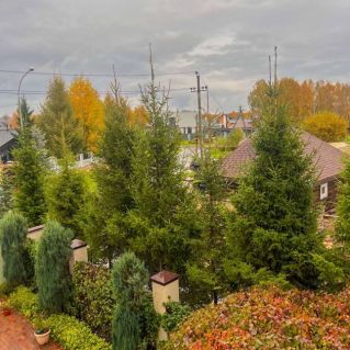 Золотая осень