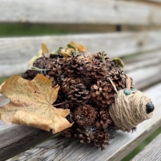 Шишковый ёжик