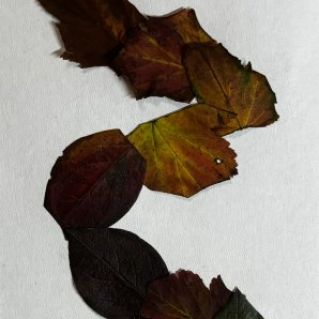 Змея из листьев