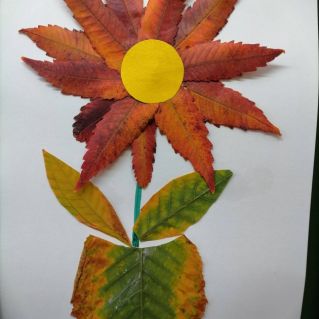 Осенний цветок