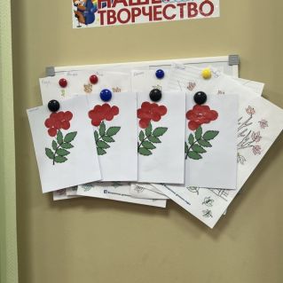 Рябина с классом