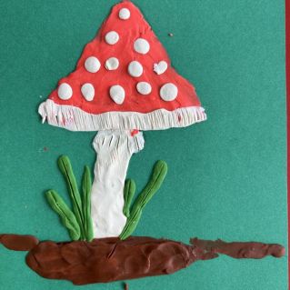 Самый красивый гриб.