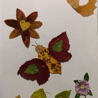 "Осенняя бабочка"