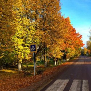 Осенние зарисовки