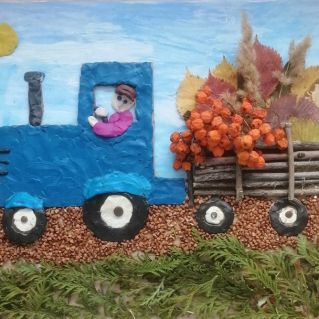 Сбор урожая