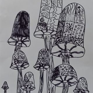 Семейка грибов.