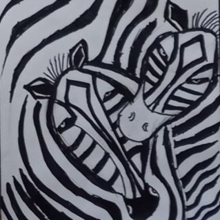 Зебры.
