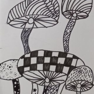 Поляна грибов.