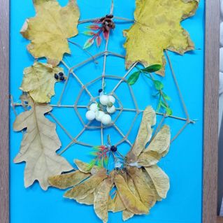 Осенняя паутинка