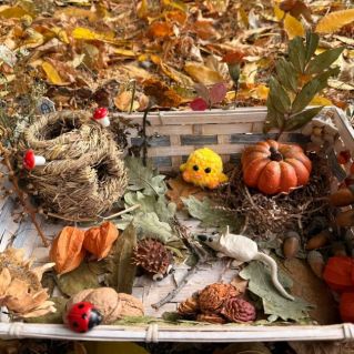 " Осенняя гармония"