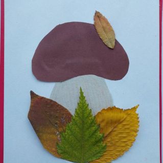 Гриб-борвик