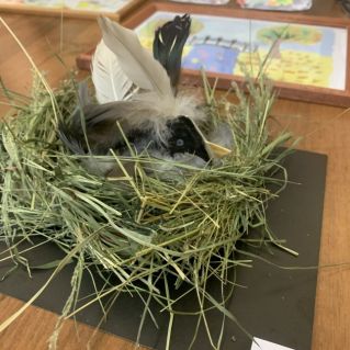 "Чудо в перьях"