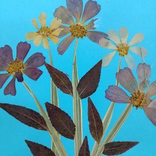 "Волшебная осень"