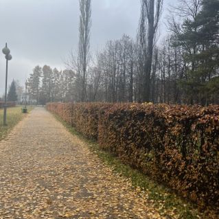 "Прекрасная осень"