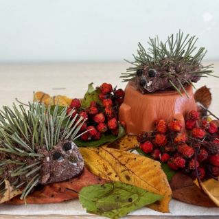 «Весёлые ежи»