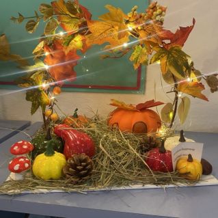 «Сказочный лес»