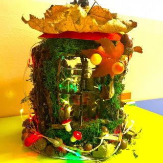 Чудеса на опушке