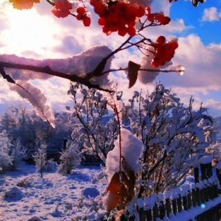 "Воскресное утро"