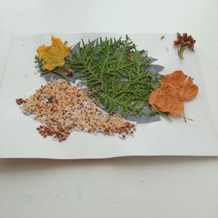 "Лесной ёжик"