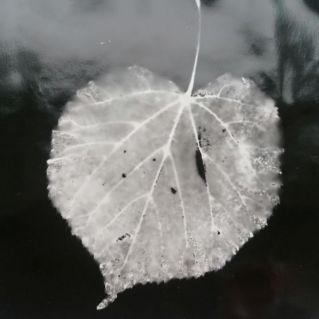 Осень глазами фотобумаги