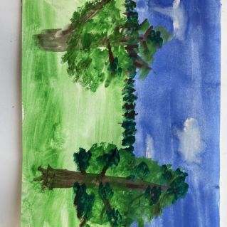 Сосонвый лес