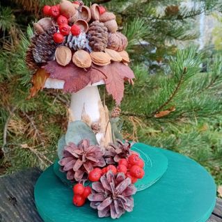 Грибная кладовая