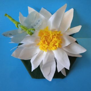 Водяная лилия